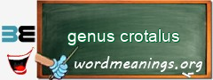 WordMeaning blackboard for genus crotalus